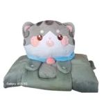 Grijze kat knuffel deken